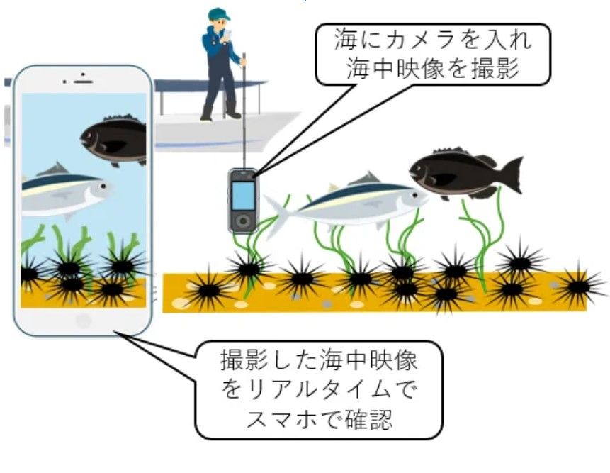 水中撮影を行うときのイメージ